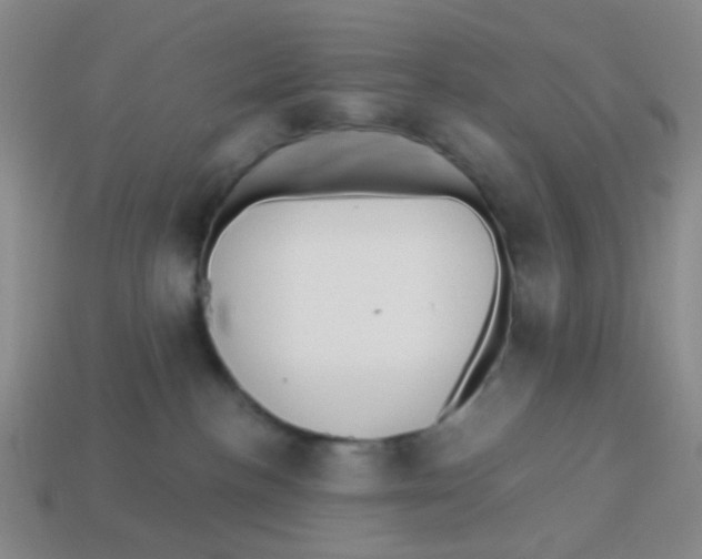 X0000113880188200910221404