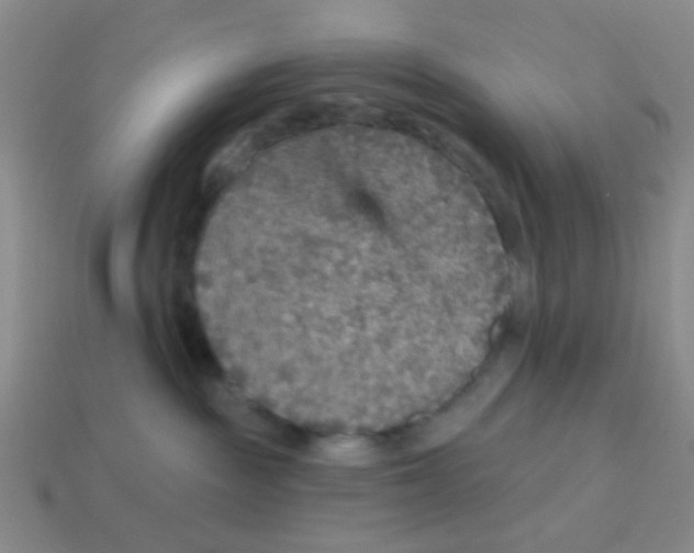 X0000113880189200910221404