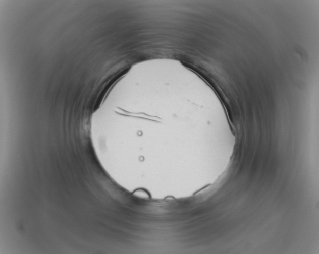 X0000113880190200910221404