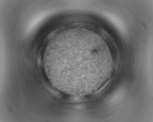 X0000113880191200910221404
