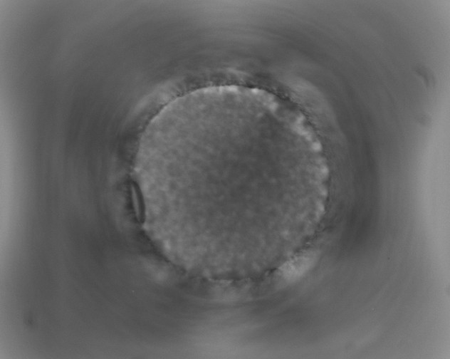 X0000113880192200910221404