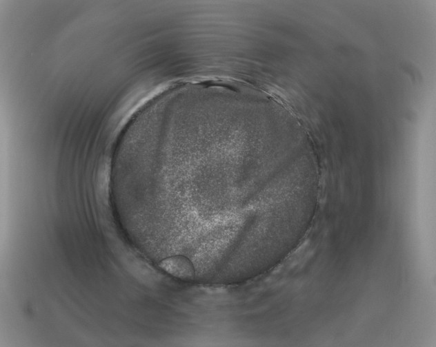 X0000113880194200910221403