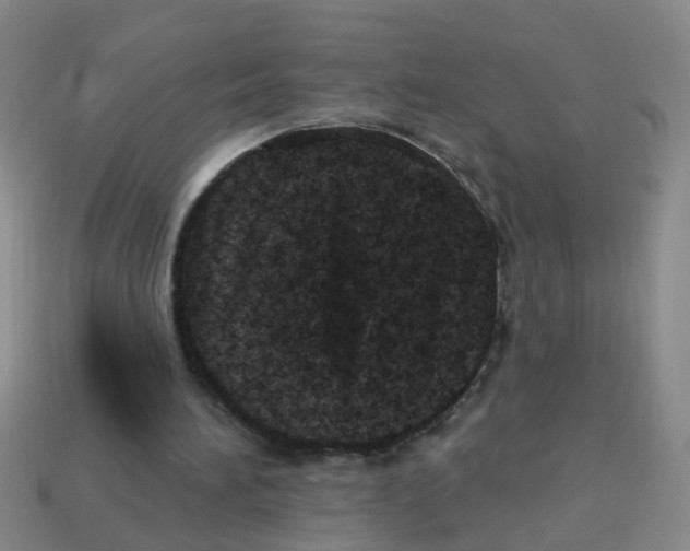 X0000113880196200910221403