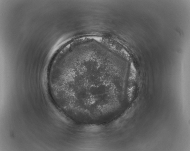 X0000113880198200910221403