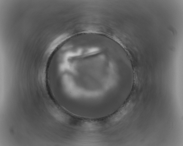 X0000113880199200910221403