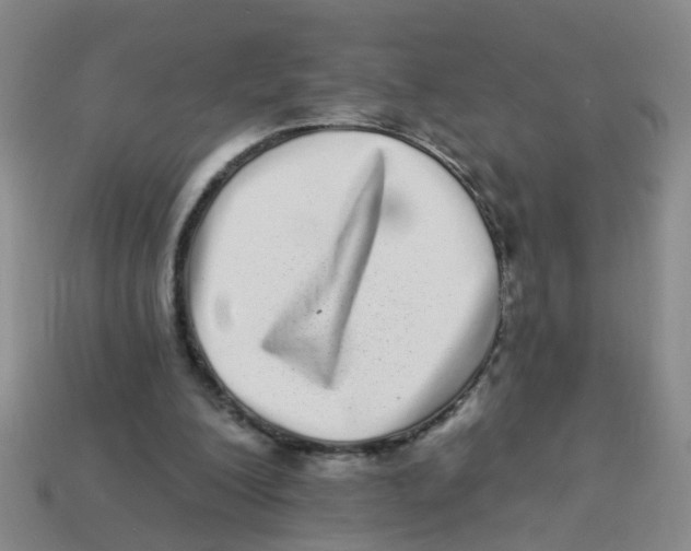 X0000113880200200910221403