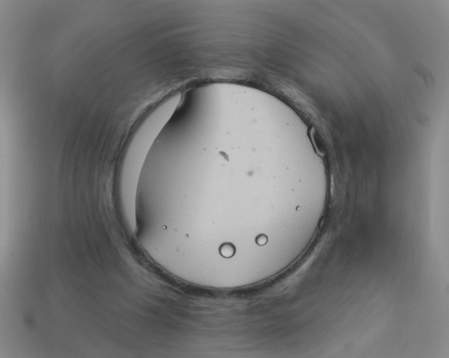 X0000113880201200910221403