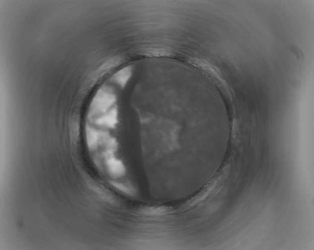 X0000113880202200910221403
