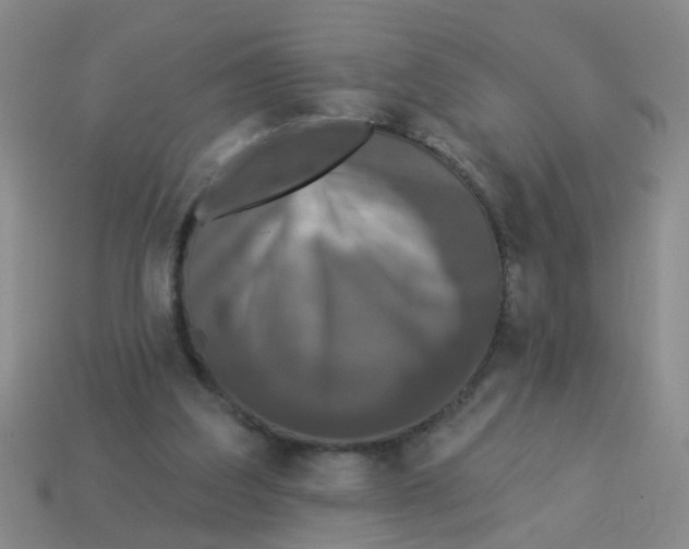 X0000113880203200910221403