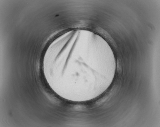 X0000113880204200910221403