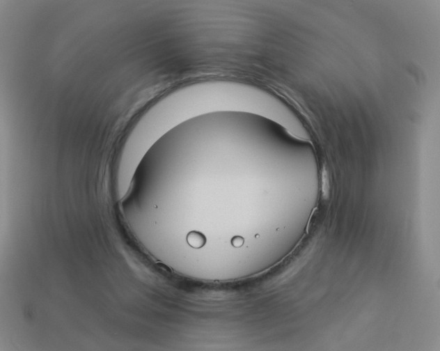 X0000113880205200910221403