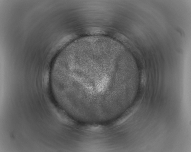 X0000113880206200910221403