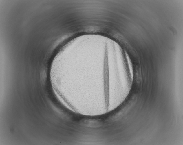 X0000113880208200910221403