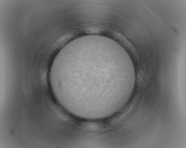 X0000113880209200910221403