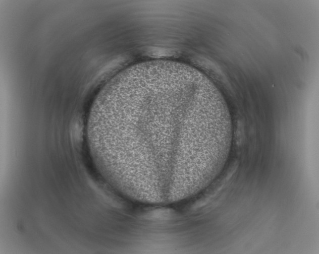 X0000113880210200910221403