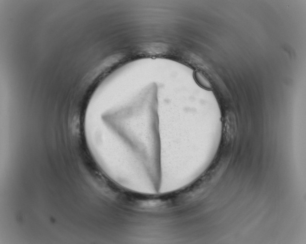 X0000113880212200910221403