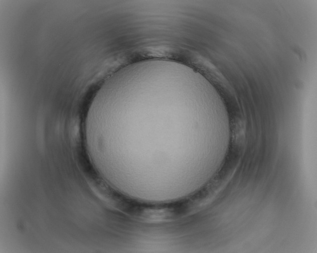 X0000113880213200910221403