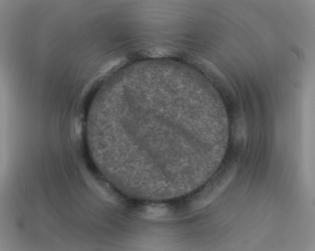 X0000113880214200910221403