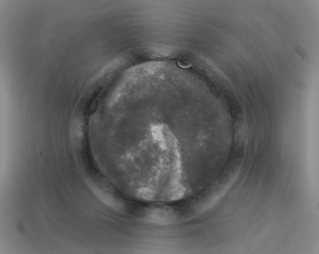 X0000113880215200910221403
