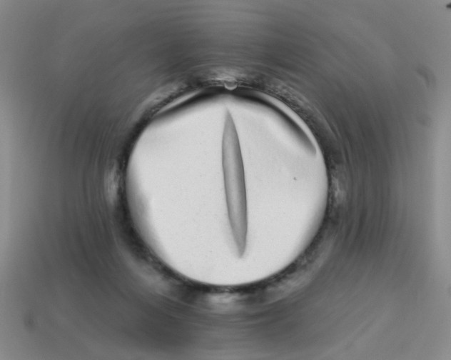 X0000113880216200910221403