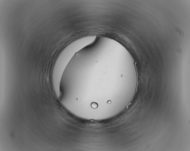 X0000113880217200910221403