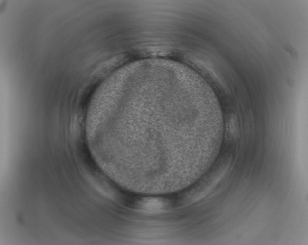 X0000113880218200910221403