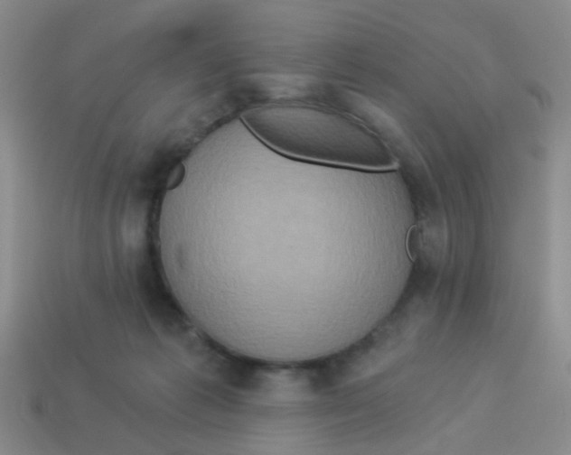X0000113880221200910221403