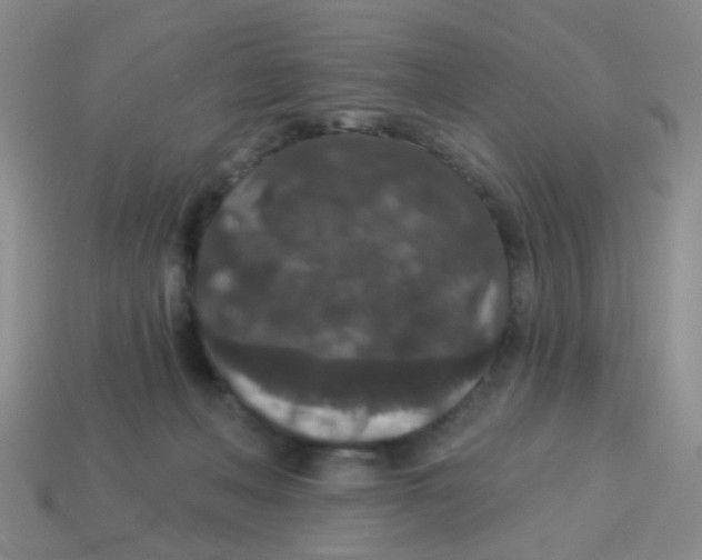 X0000113880222200910221403