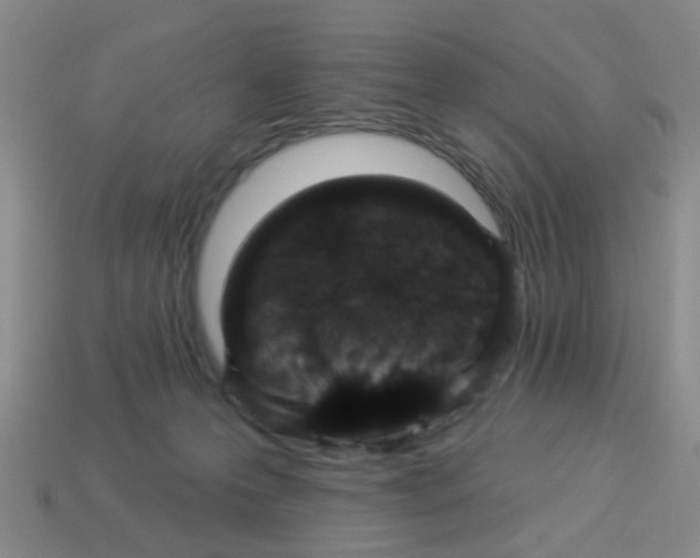 X0000113880223200910221403
