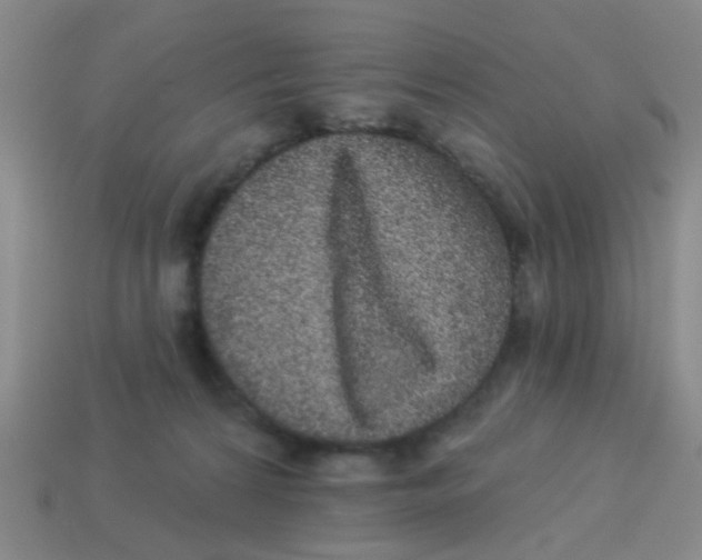 X0000113880224200910221403