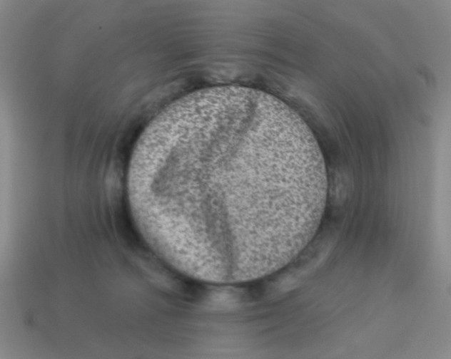 X0000113880226200910221403