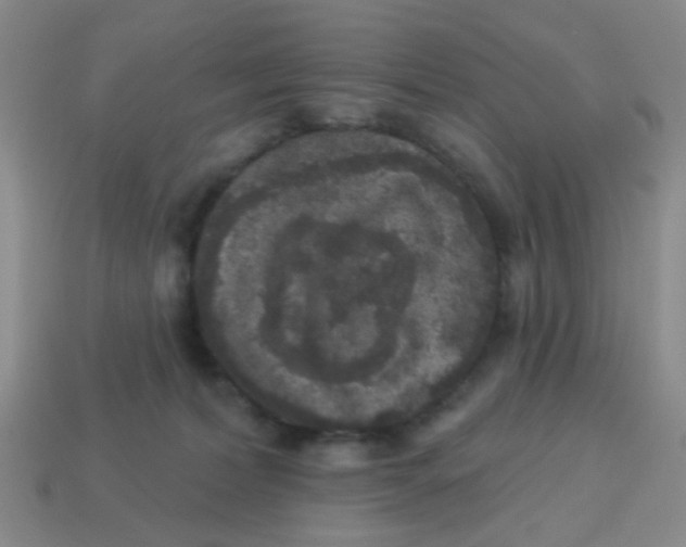 X0000113880228200910221403