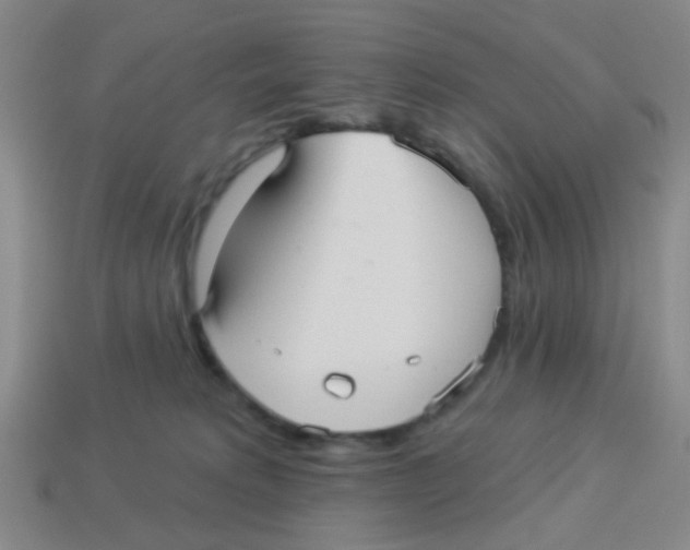 X0000113880229200910221403