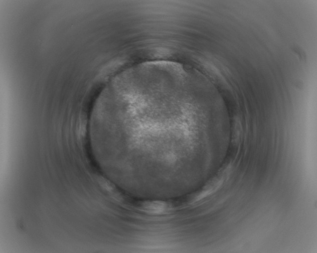 X0000113880230200910221403