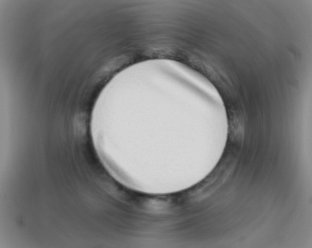 X0000113880232200910221403