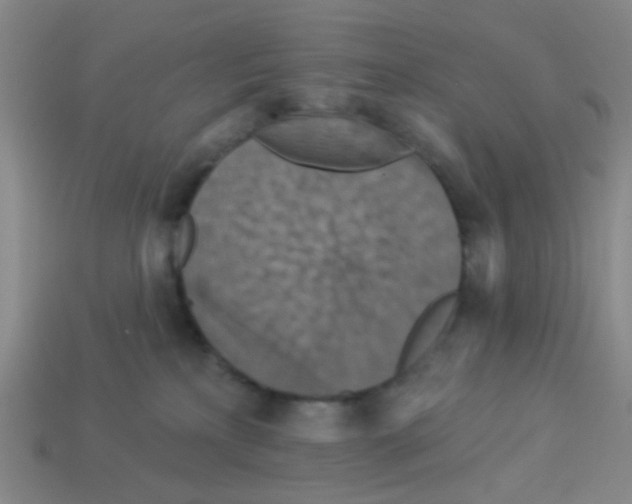 X0000113880233200910221403