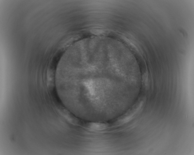 X0000113880234200910221403