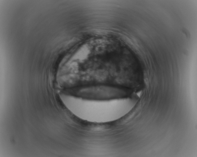X0000113880235200910221402