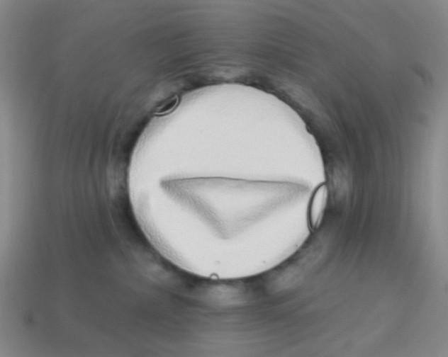 X0000113880236200910221402