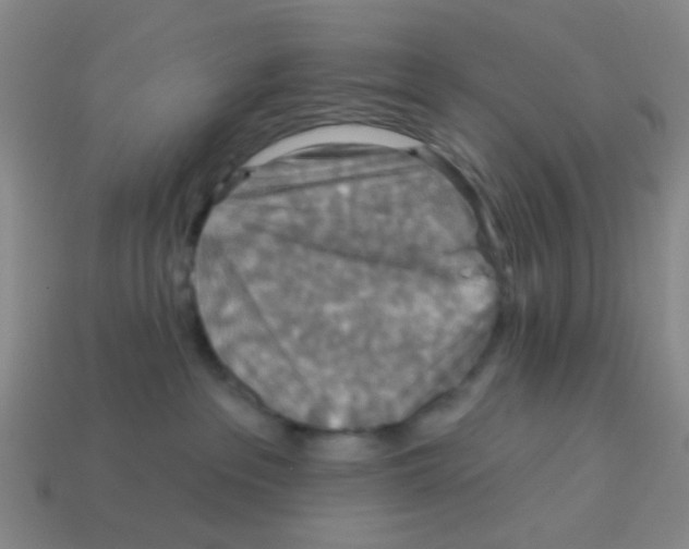 X0000113880237200910221402