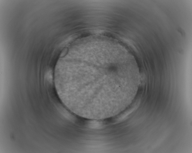 X0000113880238200910221402