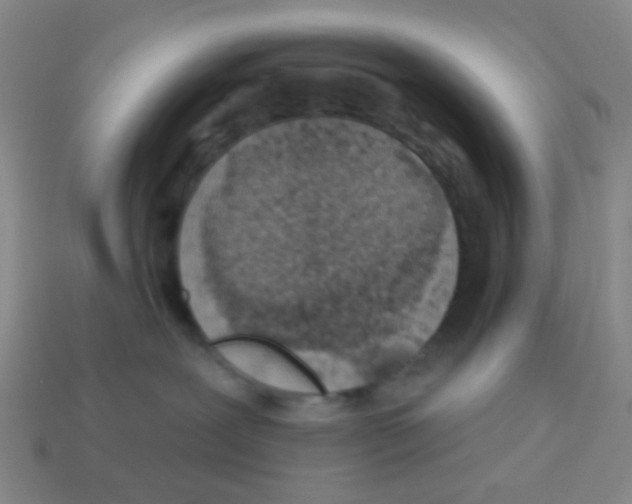 X0000113880239200910221402