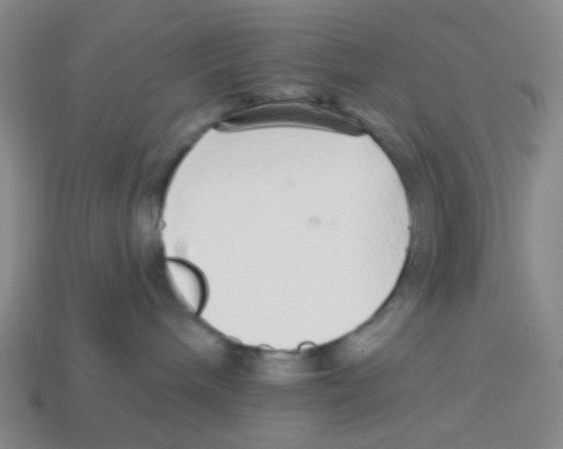 X0000113880240200910221402
