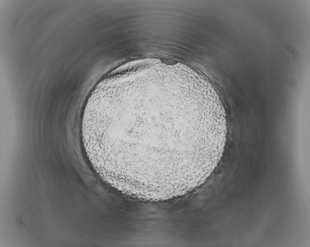 X0000113880241200910221402