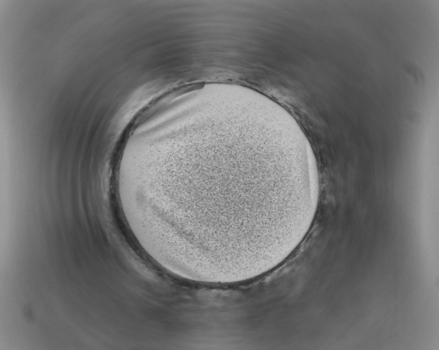 X0000113880242200910221402