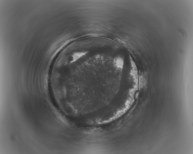 X0000113880243200910221402