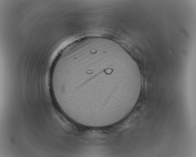 X0000113880244200910221402