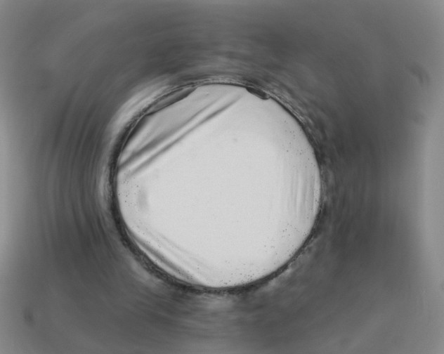 X0000113880245200910221402