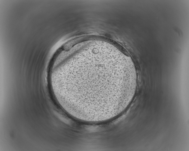 X0000113880246200910221402