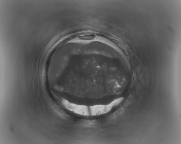 X0000113880247200910221402